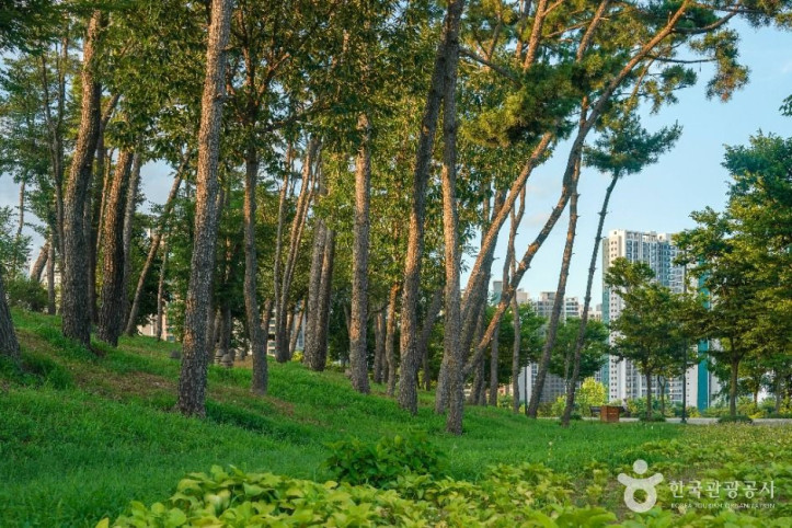 중산지 여행 추천 - 메고지고