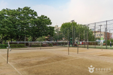 동대문구 반려견 놀이터 여행 추천 - 메고지고