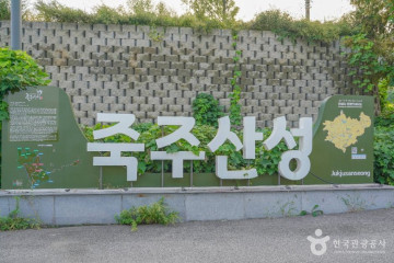 안성죽산리석불입상 여행 추천 - 메고지고