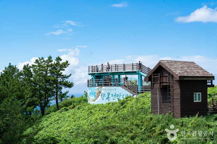 울릉도 여행 추천 - 메고지고