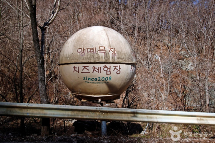 양떼목장임실치즈마을 여행 추천 - 메고지고