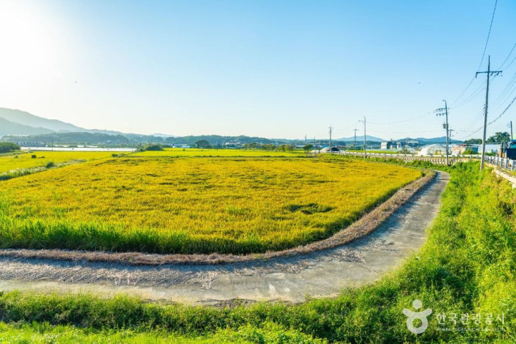 이천 부래미마을 여행 추천 - 메고지고