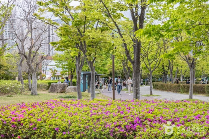 부산시민공원 여행 추천 - 메고지고