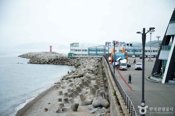 물치항 여행 추천 - 메고지고