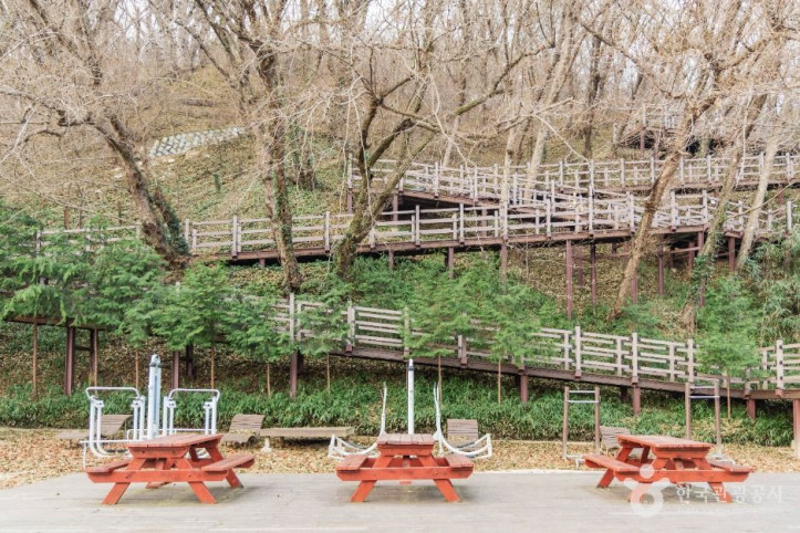 도음산 산림문화수련장 여행 추천 - 메고지고