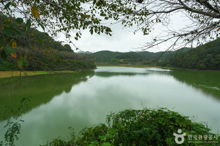 고남 저수지 여행 추천 - 메고지고