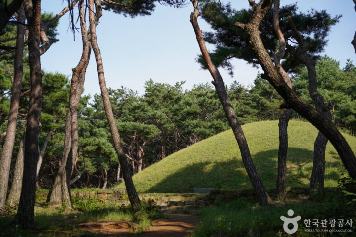 경주 선덕여왕릉 여행 추천 - 메고지고