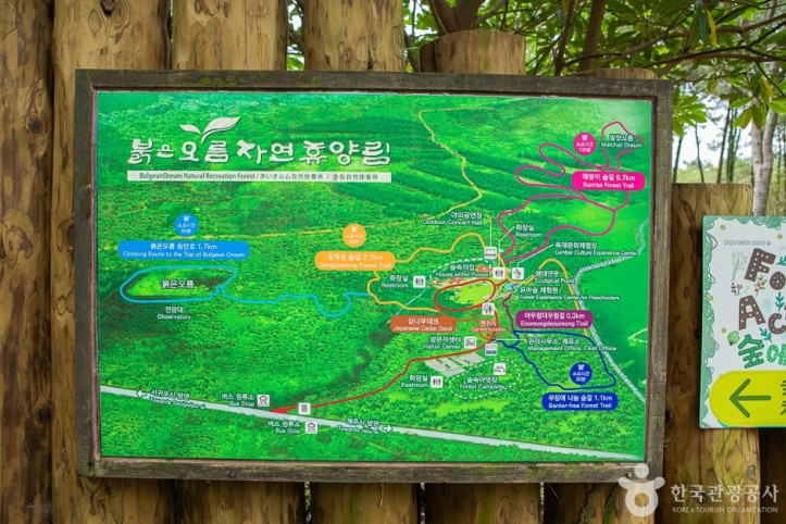 붉은오름자연휴양림 여행 추천 - 메고지고
