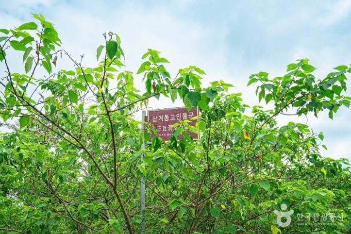 삼거동 고인돌 여행 추천 - 메고지고