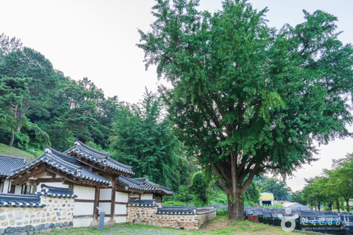 보은풍림정사 여행 추천 - 메고지고