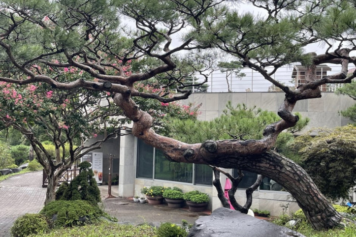 그림같은수목원 여행 추천 - 메고지고