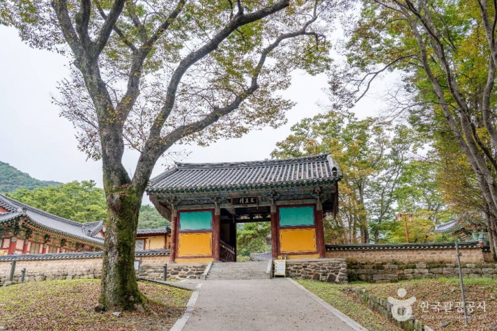 무량사(부여) 여행 추천 - 메고지고