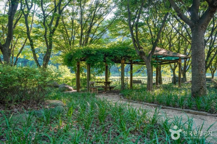 미천공원 여행 추천 - 메고지고