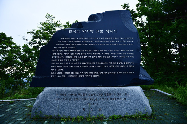 오도산전망대 여행 추천 - 메고지고