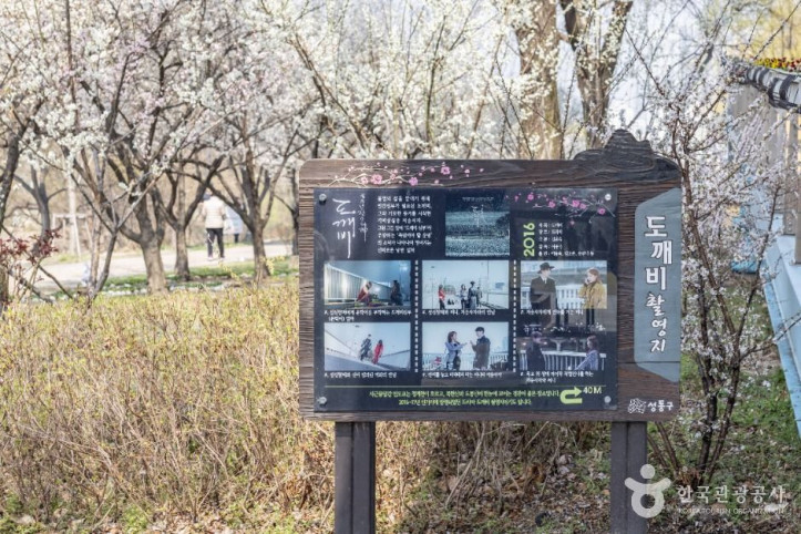하동매실거리 여행 추천 - 메고지고