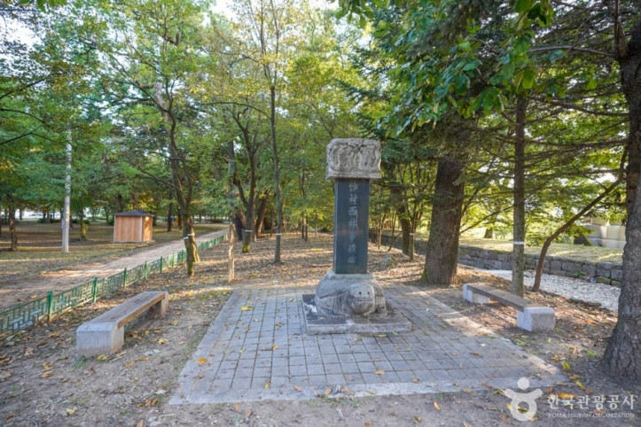 의성 사촌리 가로숲 여행 추천 - 메고지고