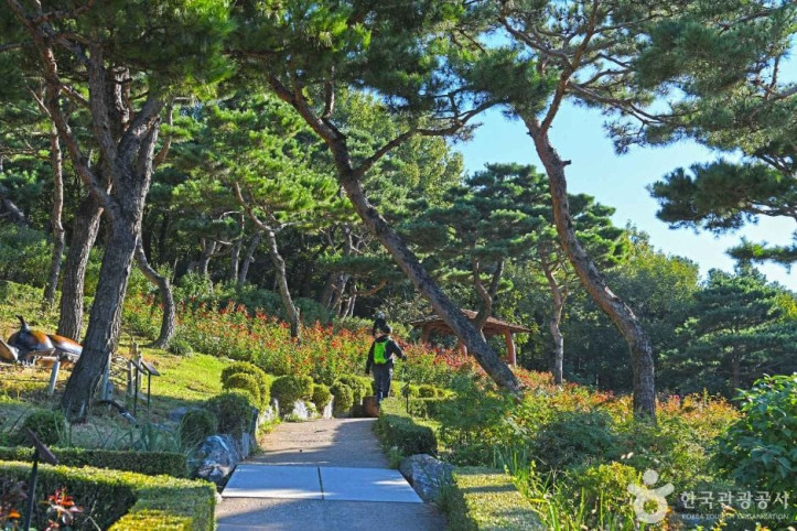 계양산장미원 여행 추천 - 메고지고