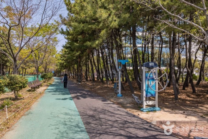 신호공원 여행 추천 - 메고지고