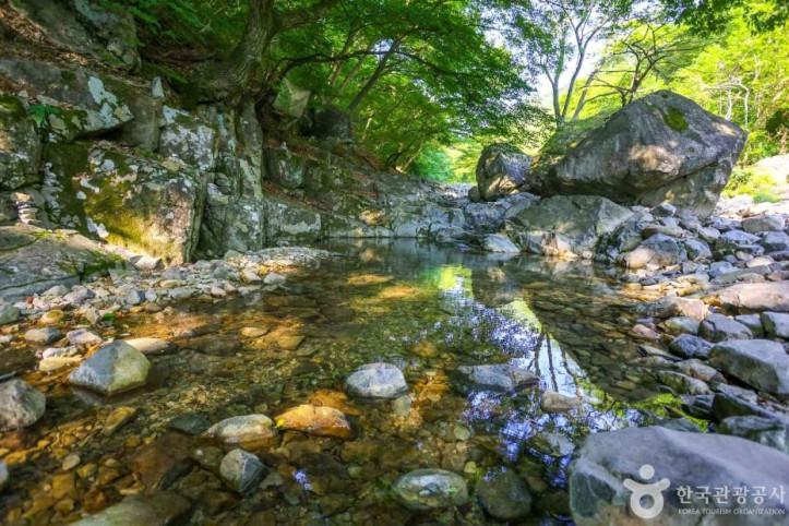 장안사계곡 여행 추천 - 메고지고