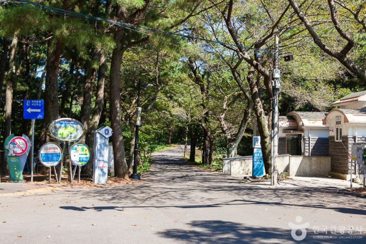 사라봉공원 여행 추천 - 메고지고