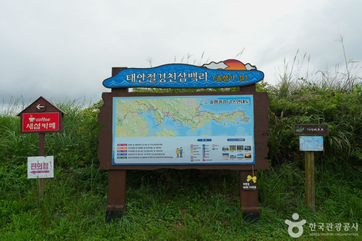 솔향기길 4코스 여행 추천 - 메고지고