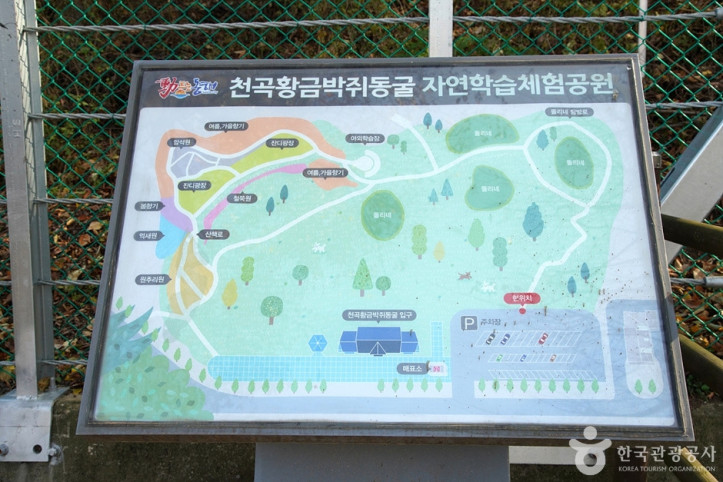 천곡천연동굴 자연학습체험공원 여행 추천 - 메고지고
