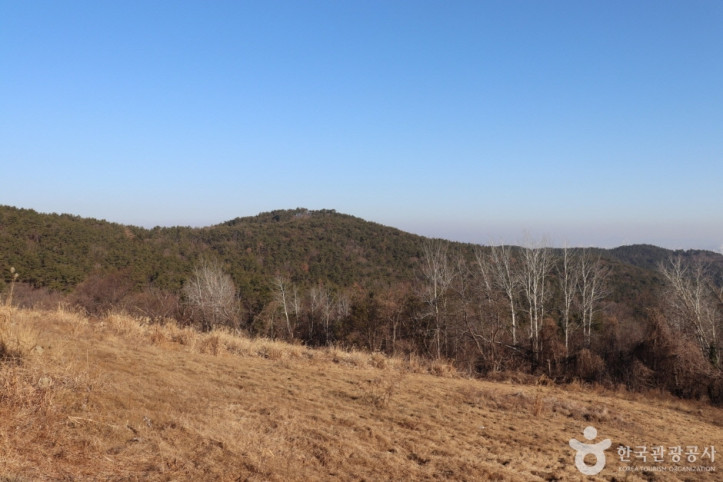 용골산 여행 추천 - 메고지고
