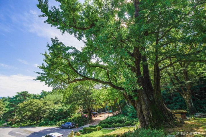 흥주사(태안) 여행 추천 - 메고지고