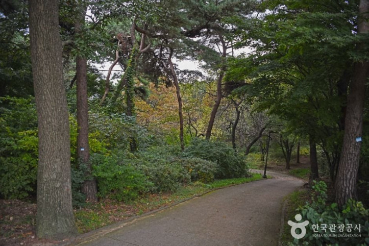 팔달산 여행 추천 - 메고지고