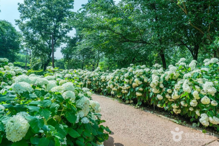 내리문화공원 여행 추천 - 메고지고
