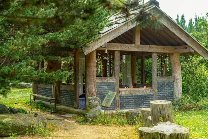 천개의향나무숲 여행 추천 - 메고지고