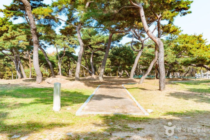 경주 성덕왕릉 여행 추천 - 메고지고