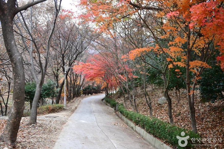 흑석산 자연휴양림 여행 추천 - 메고지고