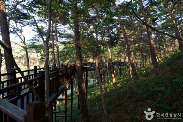 안면도수목원 여행 추천 - 메고지고