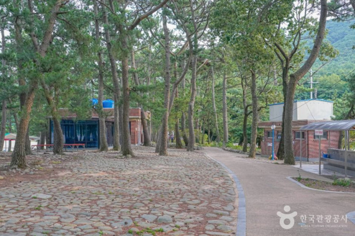 덕흥해수욕장 여행 추천 - 메고지고