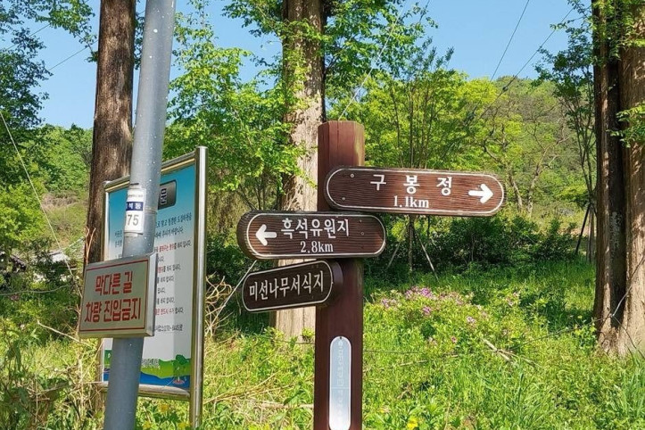구봉산(대전) 여행 추천 - 메고지고