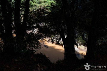 월정사(제주) 여행 추천 - 메고지고