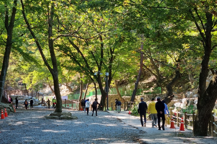 청학밸리리조트 여행 추천 - 메고지고