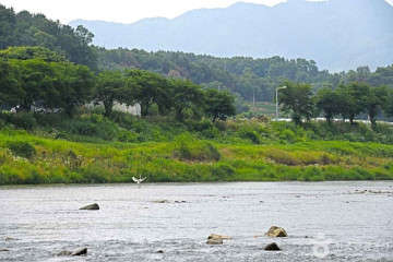 용추폭포(괴산) 여행 추천 - 메고지고