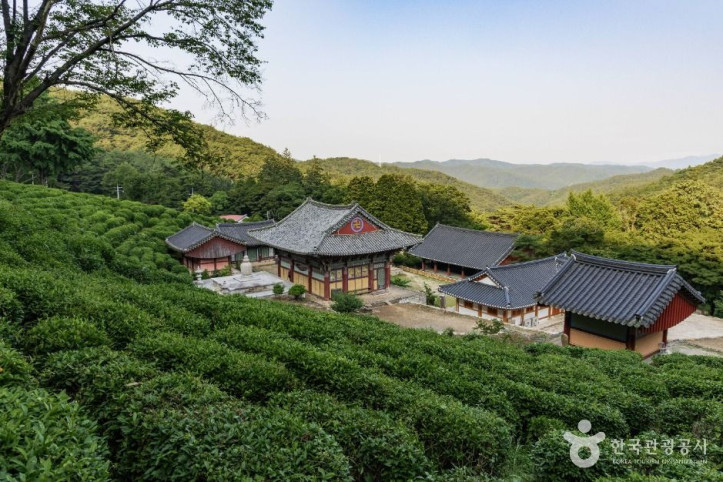 다솔사(경남) 여행 추천 - 메고지고