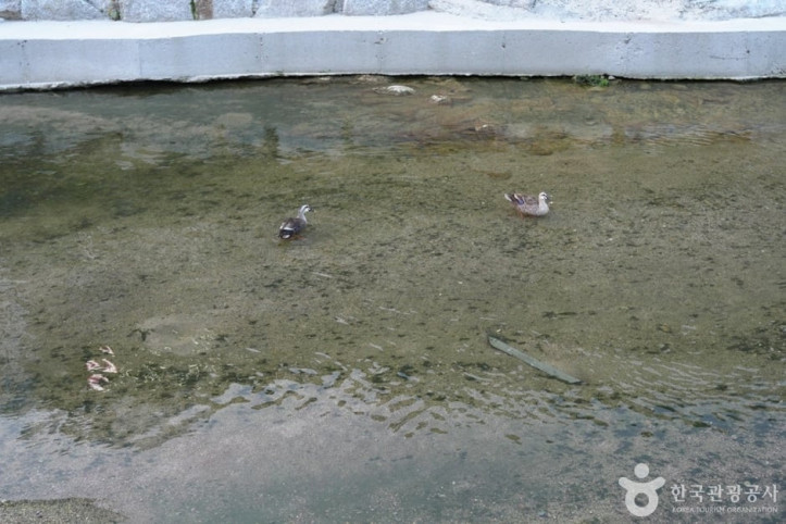 안골계곡 여행 추천 - 메고지고