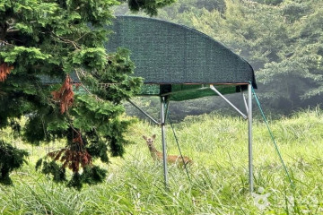 제주도 관광특구 여행 추천 - 메고지고