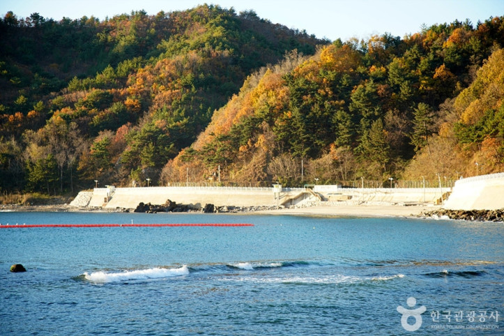 임원해변 여행 추천 - 메고지고