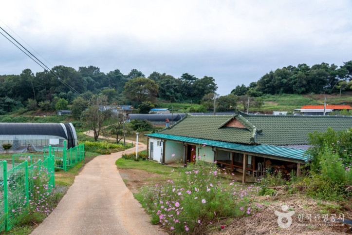 충남 서산빛들마을 여행 추천 - 메고지고