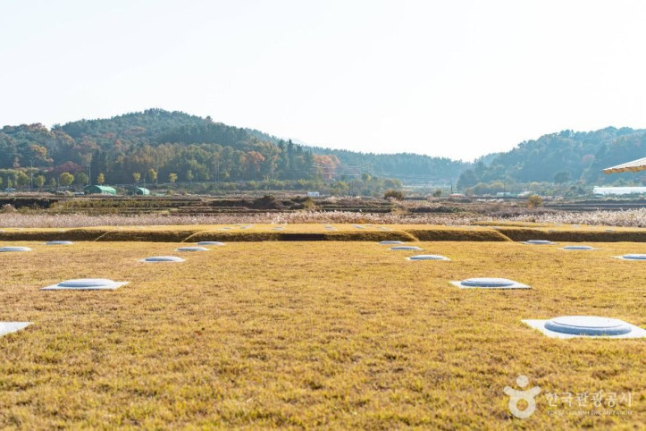 경주 인왕동 사지 여행 추천 - 메고지고
