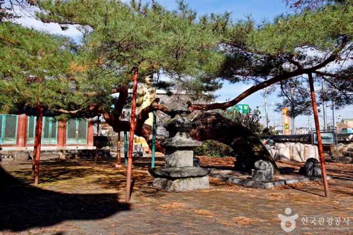 충주 단호사 삼층석탑 여행 추천 - 메고지고