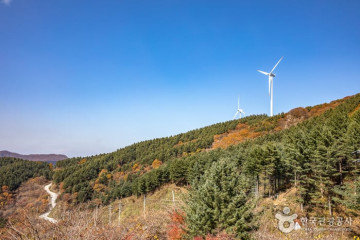 평창자연휴양림 여행 추천 - 메고지고