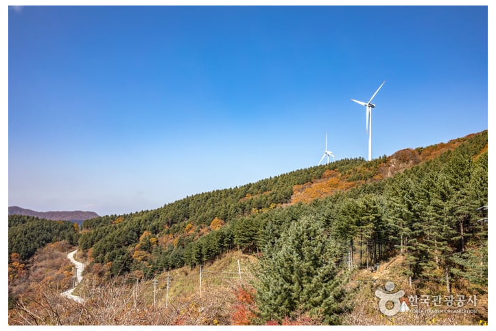 태기산 여행 추천 - 메고지고
