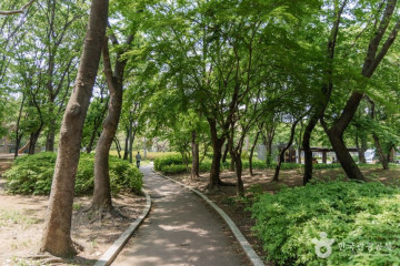 구룡산(서울) 여행 추천 - 메고지고