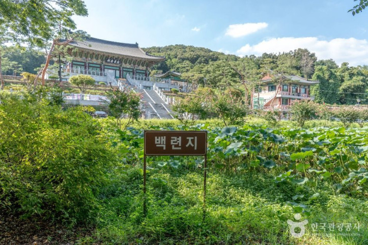 정토사(성남) 여행 추천 - 메고지고
